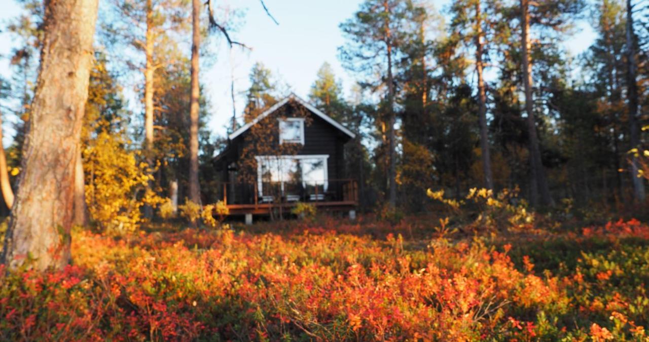Lapintintti Eco-Cabin In Инари Экстерьер фото